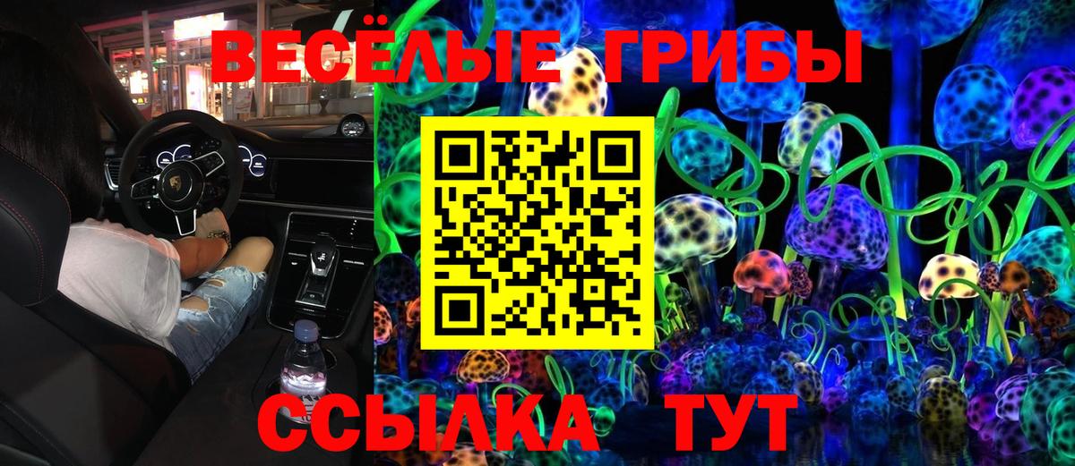 Псилоцибиновые грибы Cubensis  Вход с VPN  купить закладку  Нефтекамск 